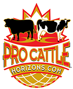 Pro Cattle